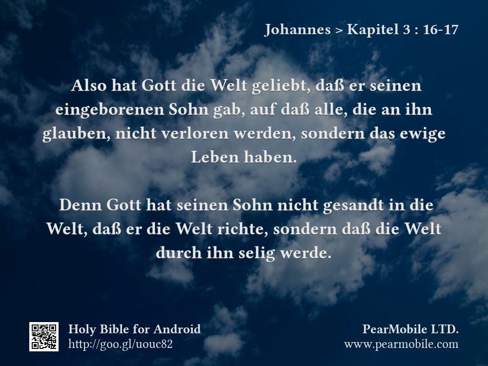 Johannes, Kapitel 3:16-17